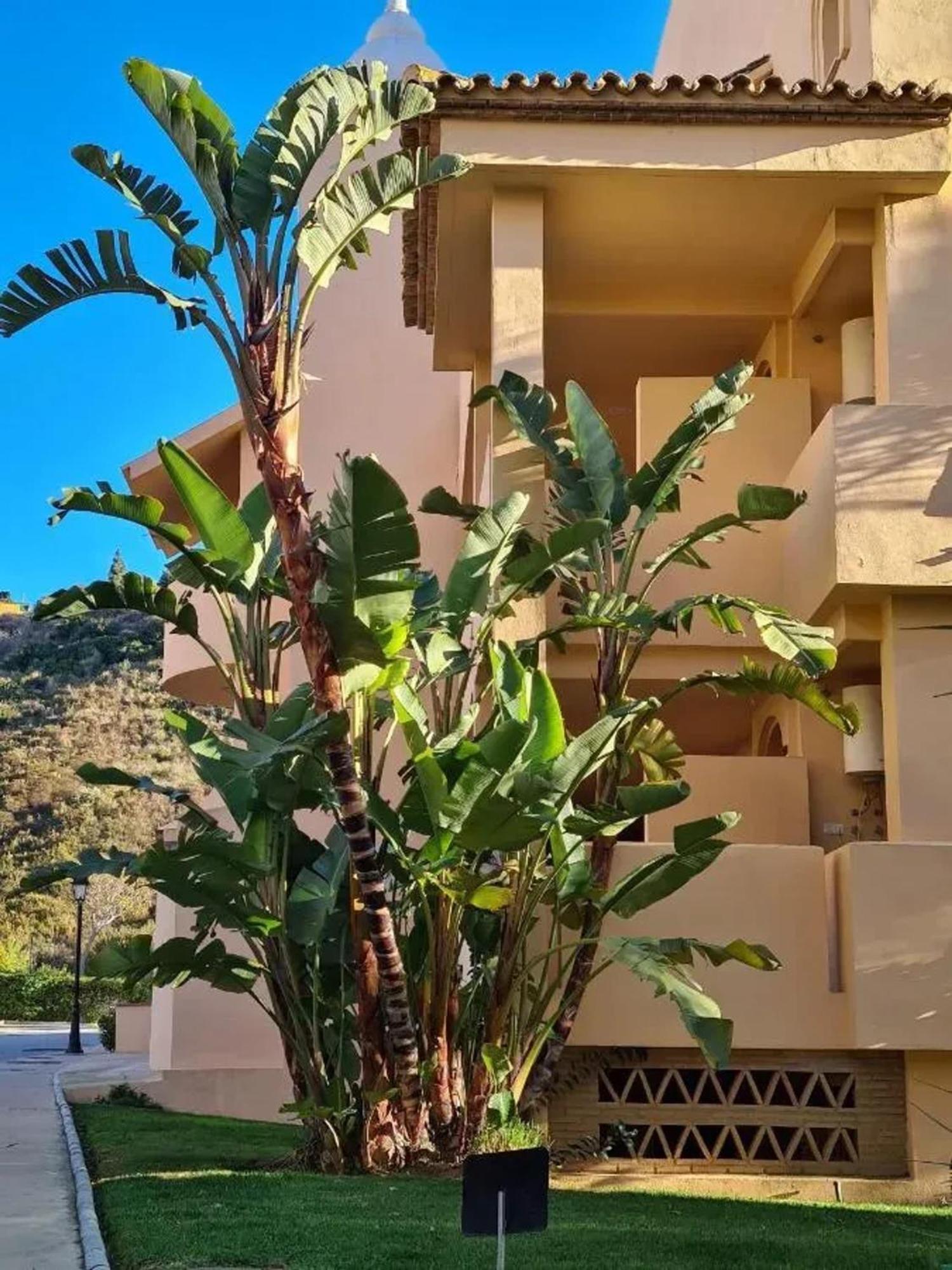 Family Apartment In Marbella With Pool מראה חיצוני תמונה